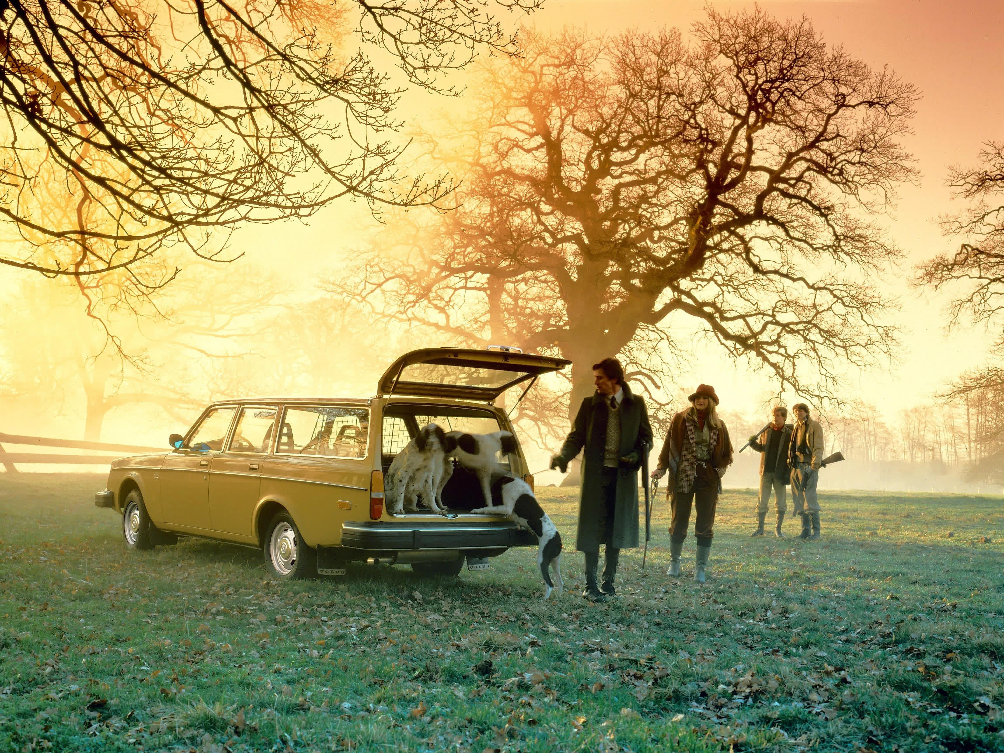 volvo 240