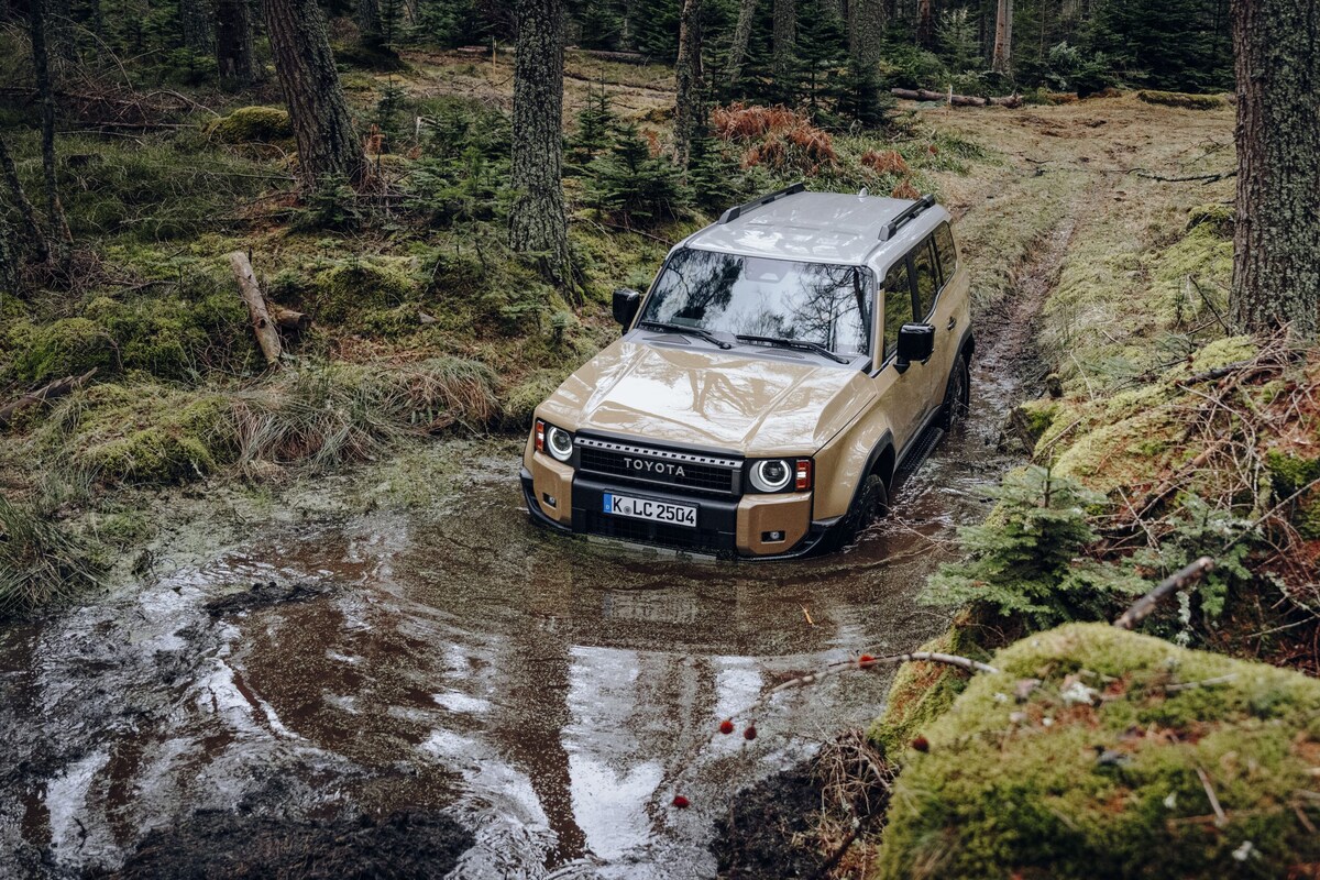 Afbeelding van [object Object]