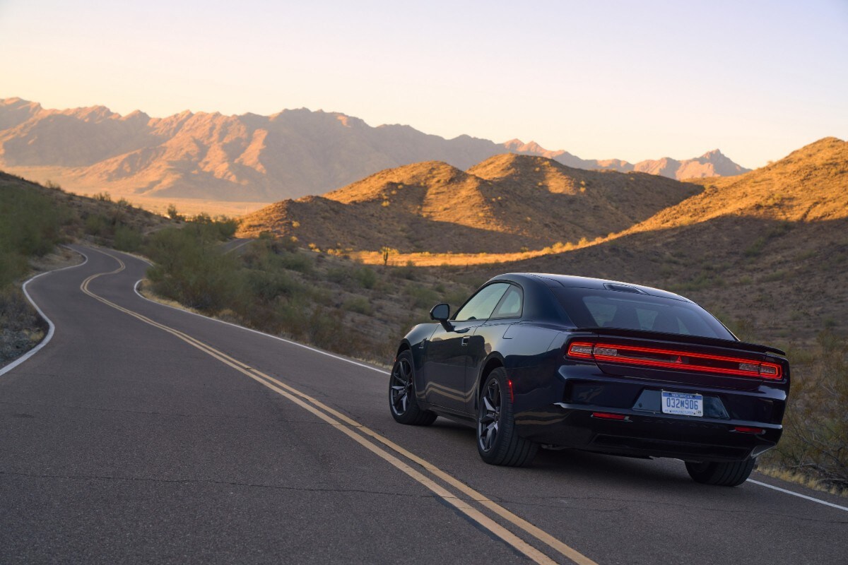 Afbeelding van [object Object]