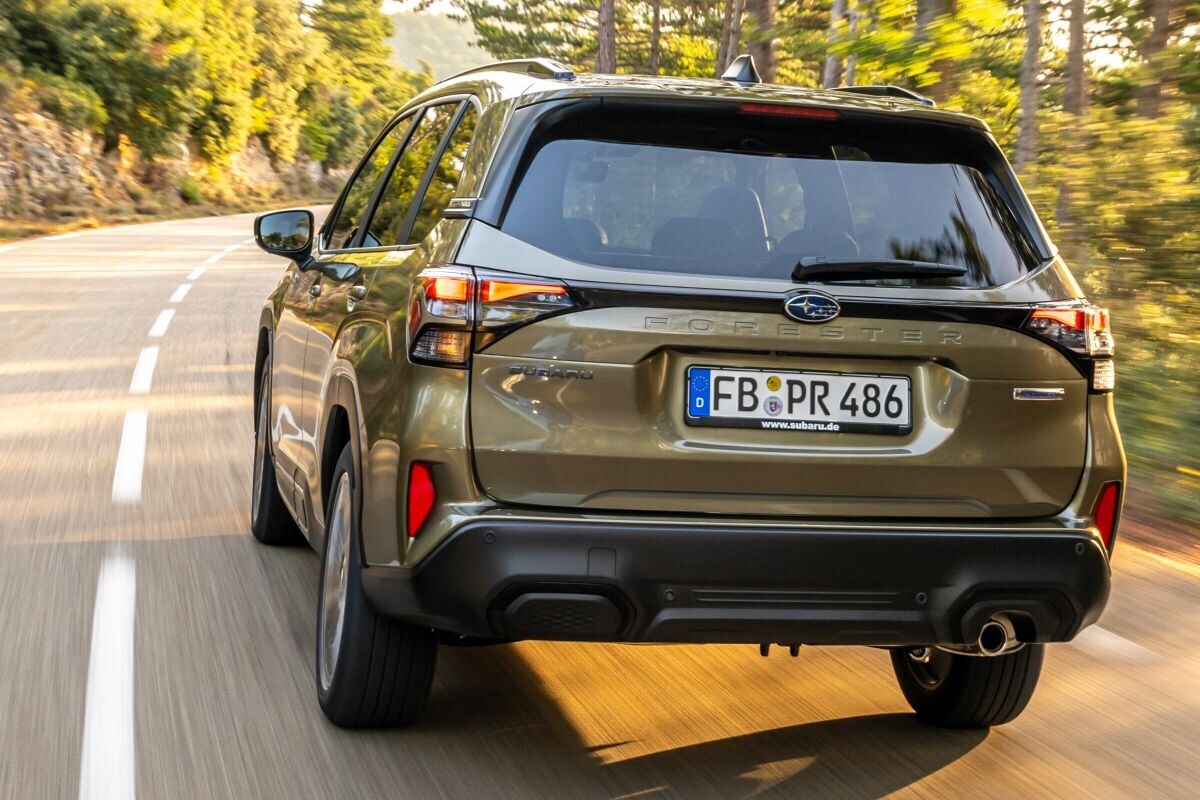 Afbeelding van [object Object]